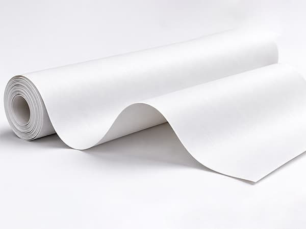Standard Paper